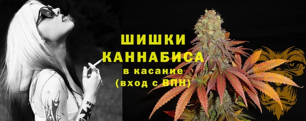 каннабис Корсаков
