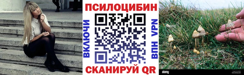 Галлюциногенные грибы Magic Shrooms  Купить  Жуков 